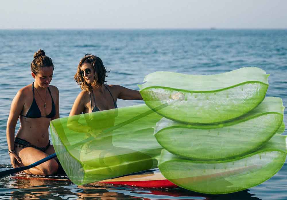 Surfeuses sur un long board avec un produit de beauté ont avant plan