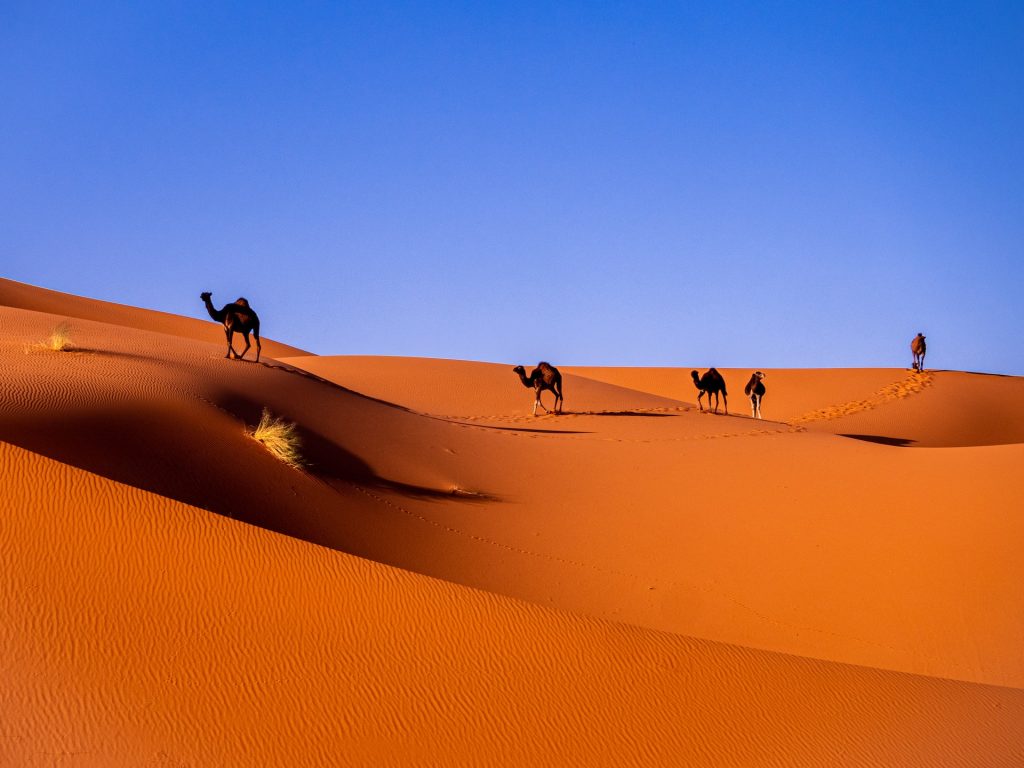 Maroc écoresponsable